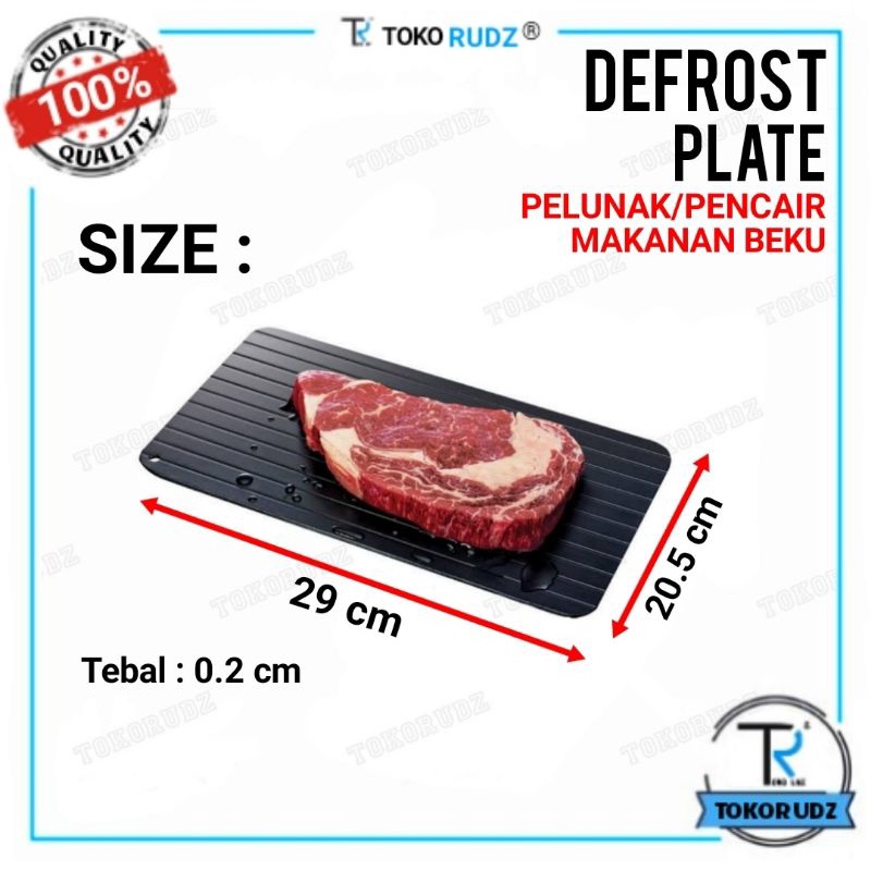 Defrost Plate Talenan Pencair Makanan Daging Beku Pelunak Ikan Beef Frezzer