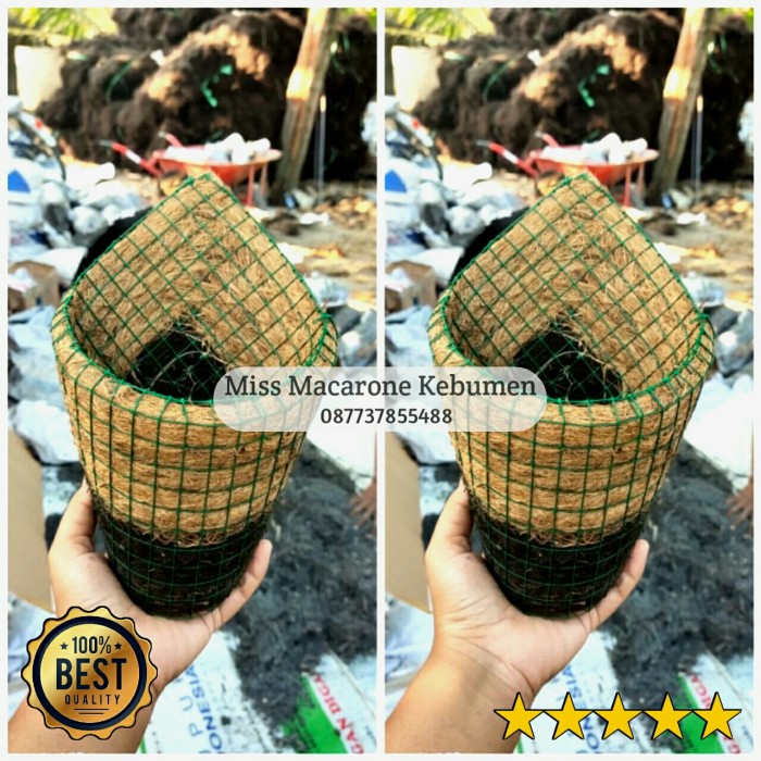 pot anggrek sabut kelapa pot keong sabut kelapa pot kerucut anggrek