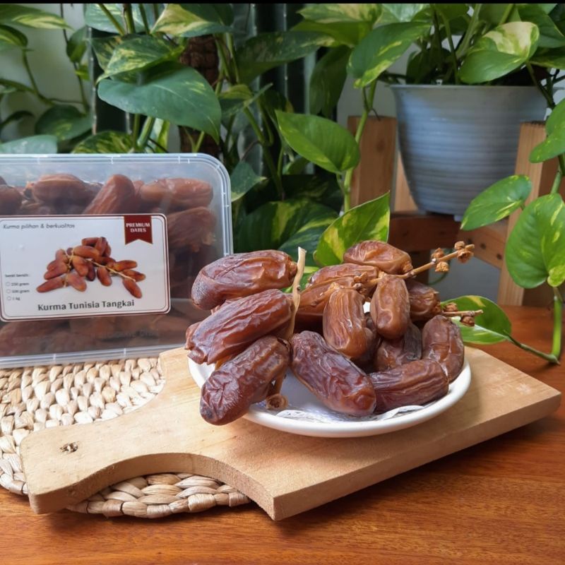 

KURMA TUNISIA TANGKAI