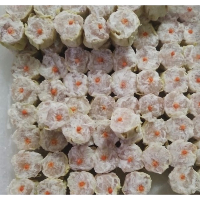

Dimsum Siomay Ayam dan udang isi 100 pcs ( frozen )