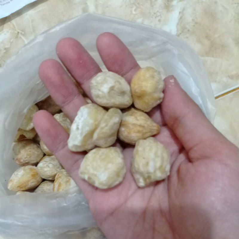 

Bumbu Dapur Kemiri Asli Utuh 50 gram