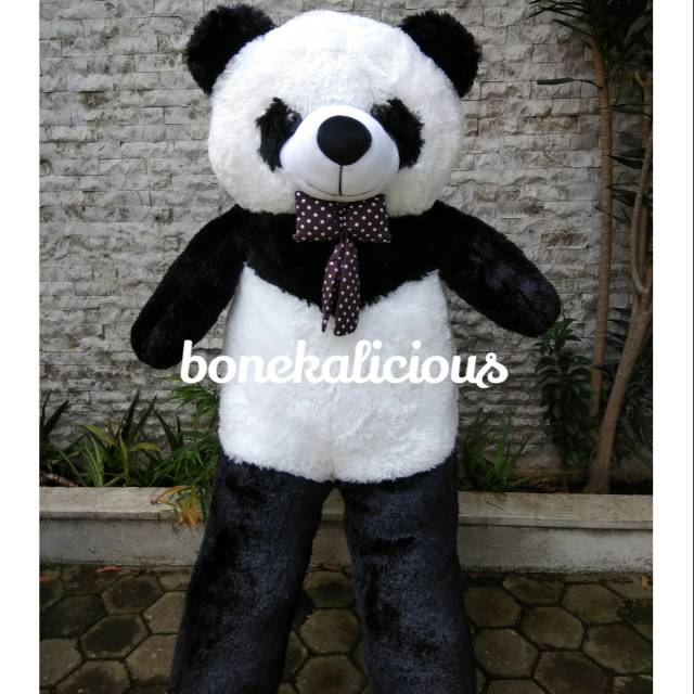 Boneka panda polkadot bigsize super besar jumbo 150cm 1,5m 1,5 meter