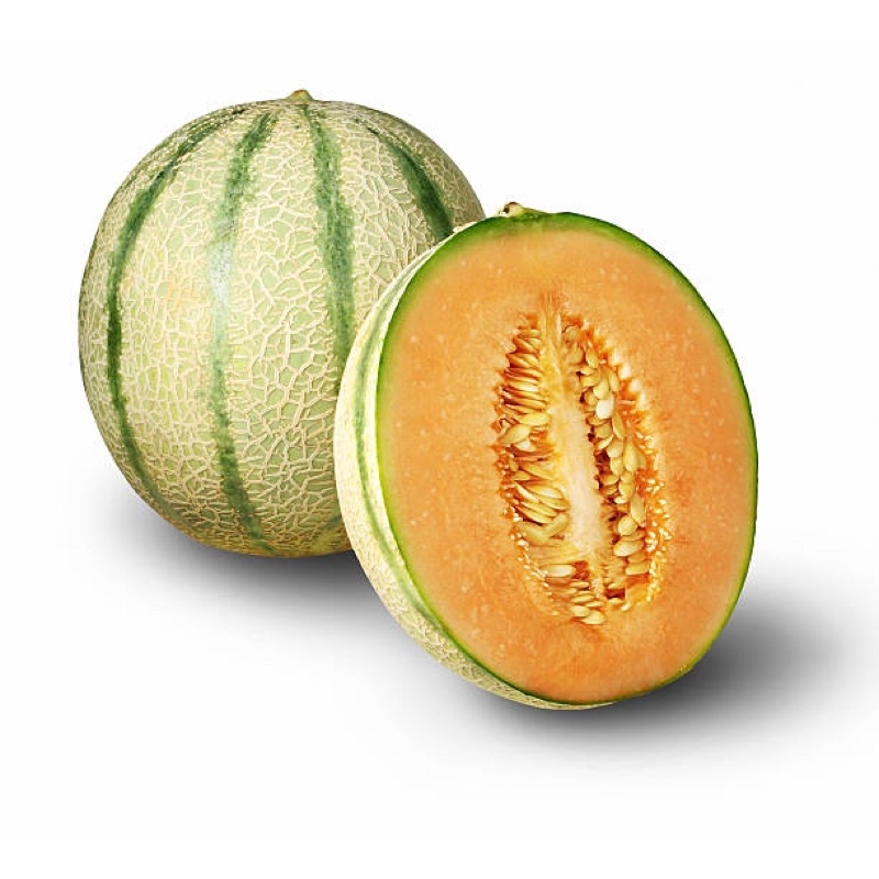 

MelonHoney