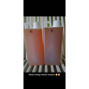 

madu kembang rambutan