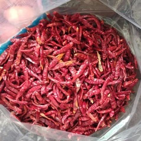 

Cabe Kering Teja Super Pedas