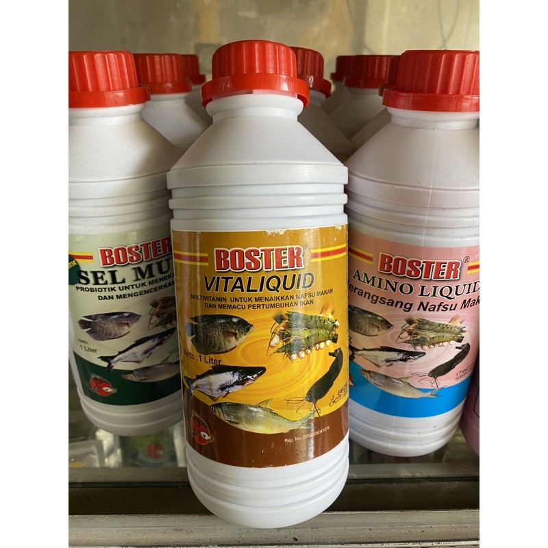 boster vitaliquid multivitamin ikan lele nila cupang betta