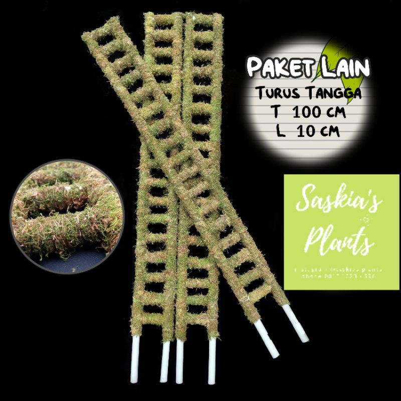 3 pcs Turus Lumut Bentuk Tangga 100 cm