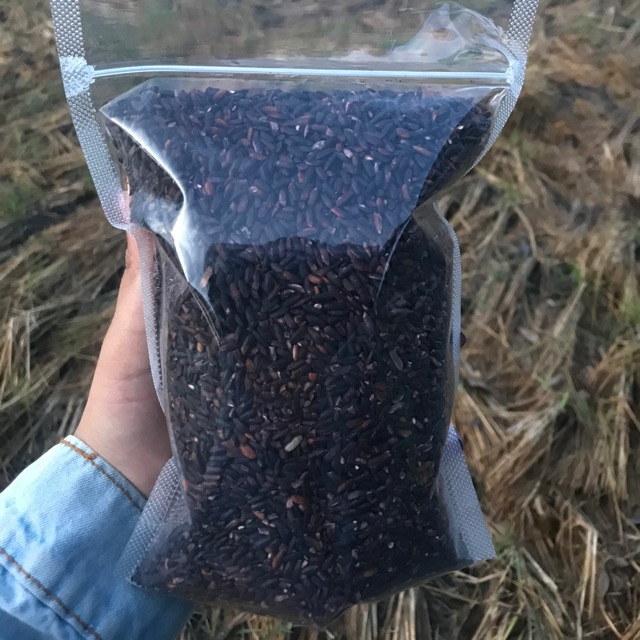

Beras Hitam Organik Srijaya