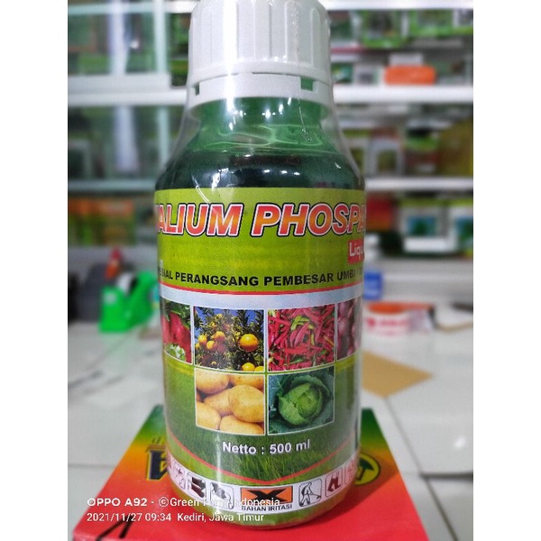 Sale..Kalium Phospat Pupuk Cair Pembesar Umbi Pembesar Buah Tanaman Anti Rontok 500ml Tinggi Kalium