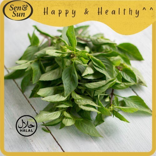 

Sen&Sun Daun Basil Thai Hydroponic 20 gr