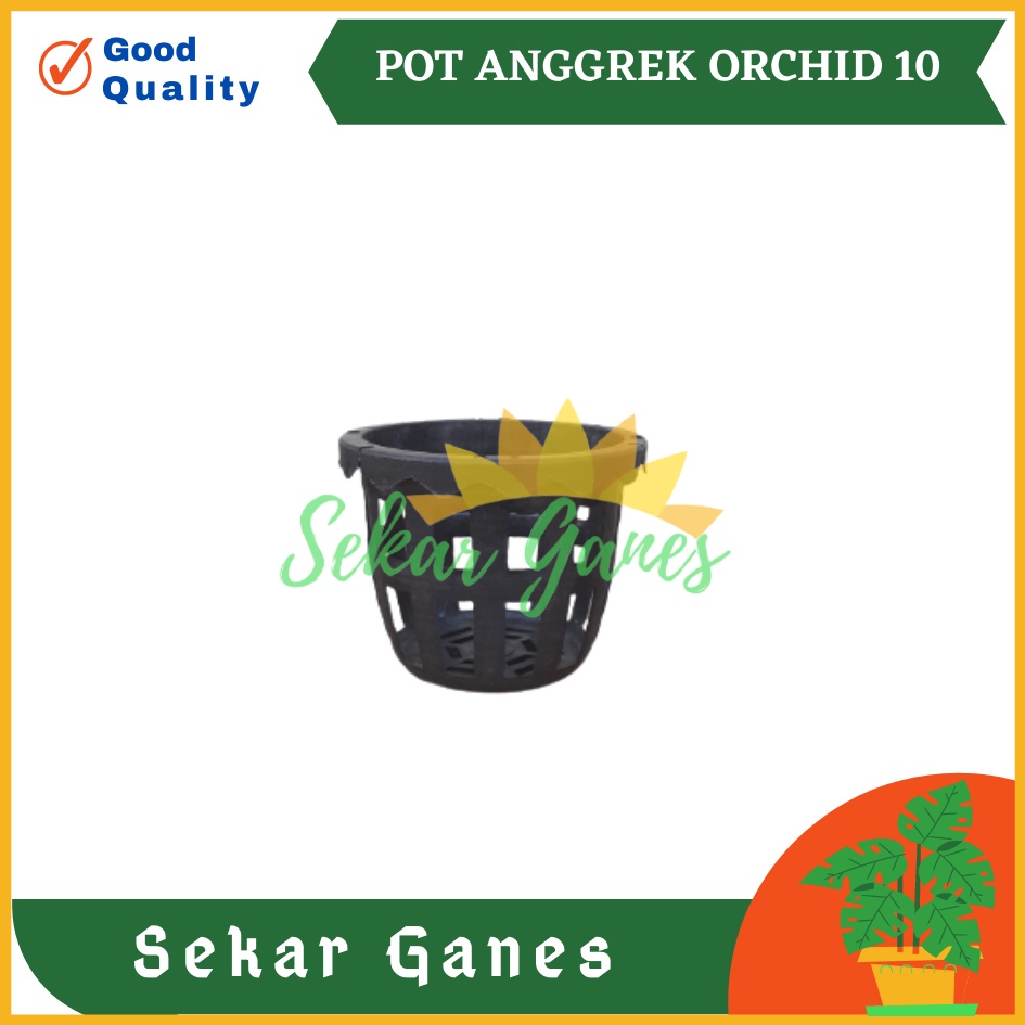 READY Pot Bunga Anggrek 10cm | Jual Pot Plastik Orchid 10 cm Grosir Murah