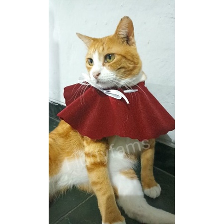 Collar Pelindung Leher Kucing