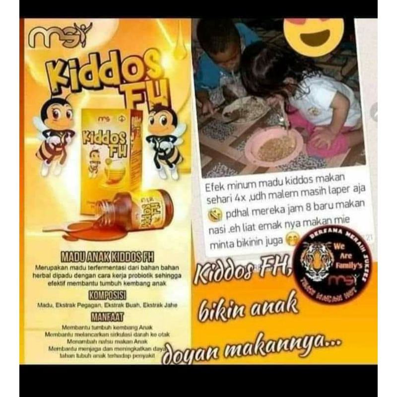 

Madu Anak MSI Kiddos FH