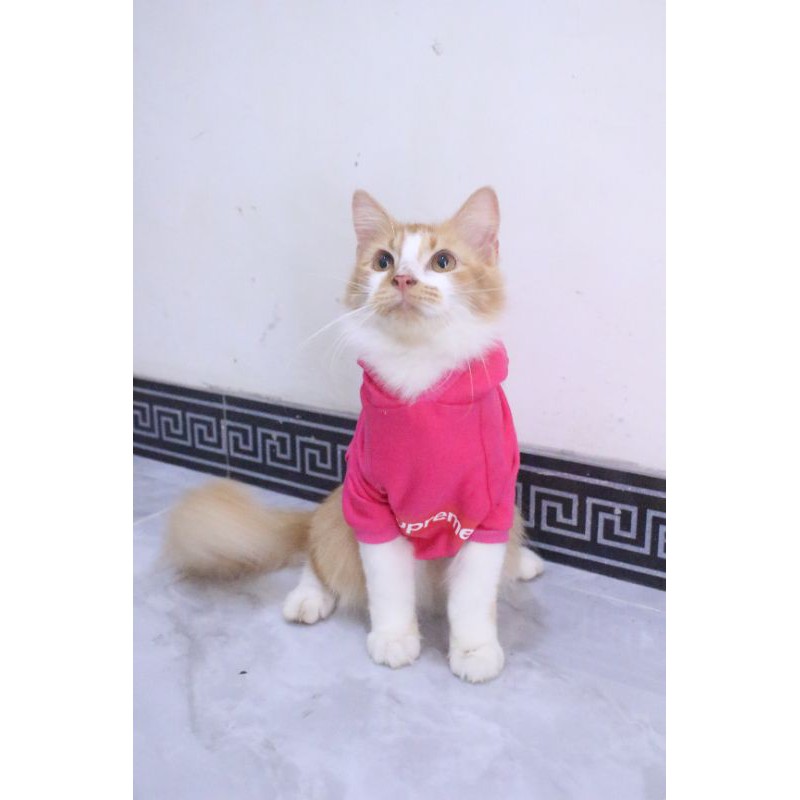 Kaos Hoodie Supreme kode #002 lucu untuk kucing &amp; anjing / baju kucing murah size S-XL