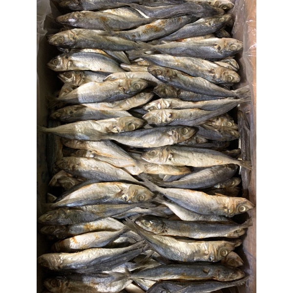 

Ikan asin Peda japuh/layang/kecil 250gr