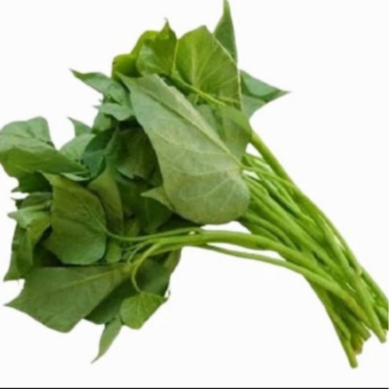 

DAUN UBI SEGAR - 1 IKAT