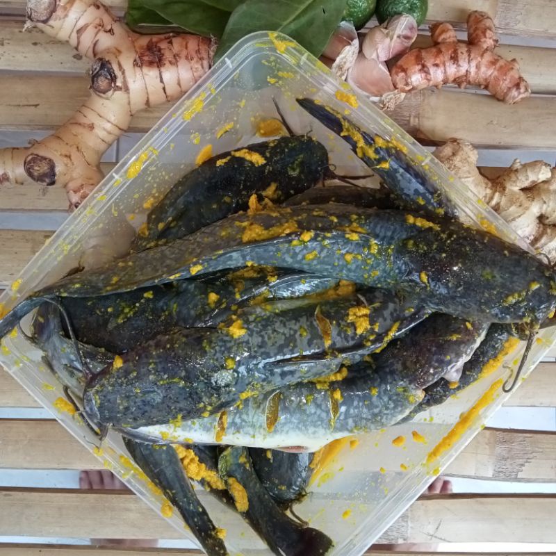 

Frozen Ikan Lele Bumbu Kuning isi 7