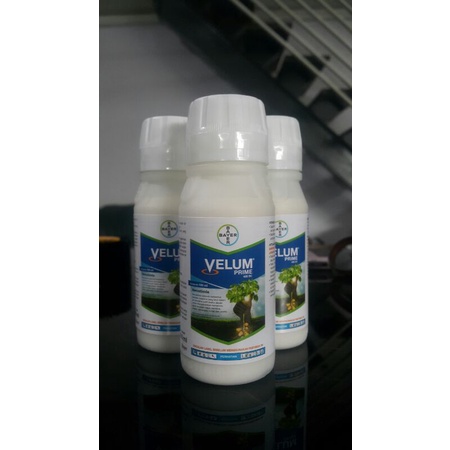 Nematisida Velum Prime 100 ml