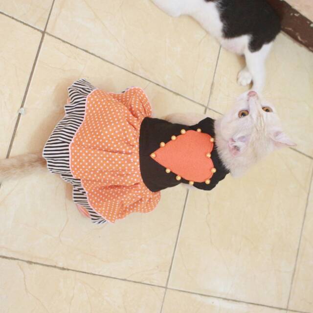 Dress motif lope orange strip lucu untuk kucing size S-XL baju kucibg termurah