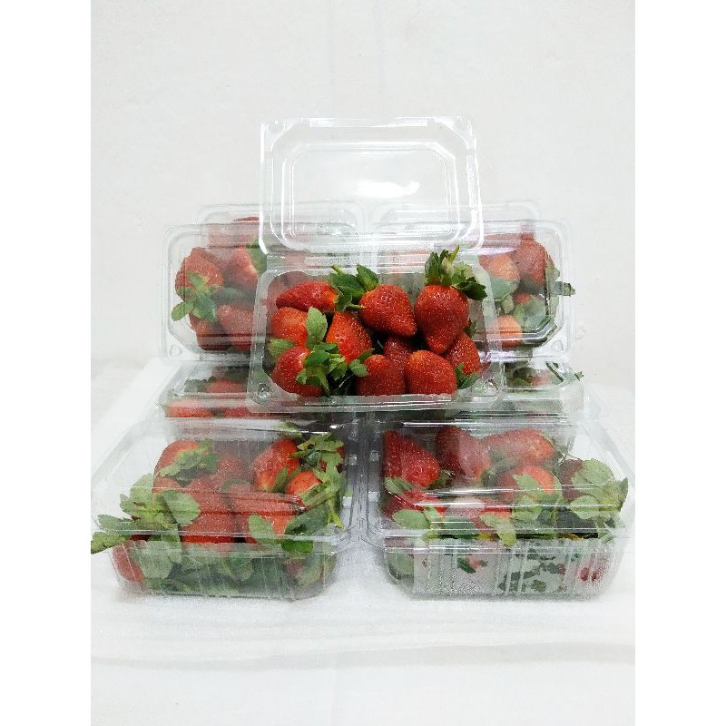 

strawberry buah stroberi Kellybright +-250gr