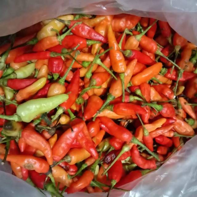 

Cabai Setan 1Kg