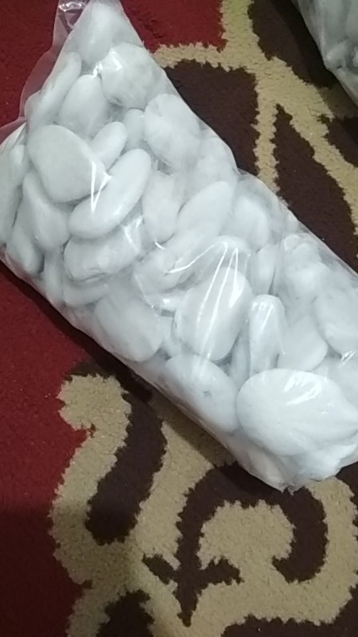 Batu Koral Kupang Putih Batu Hias Batu Alam