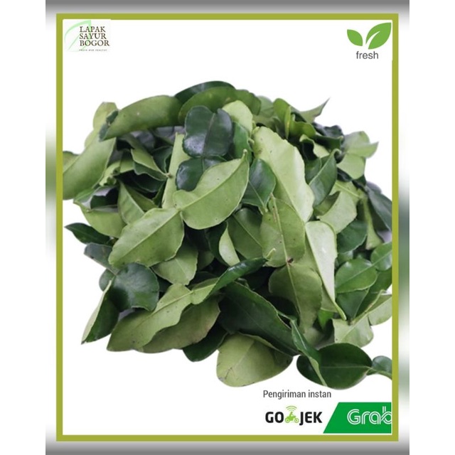 

daun jeruk nipis 100gr