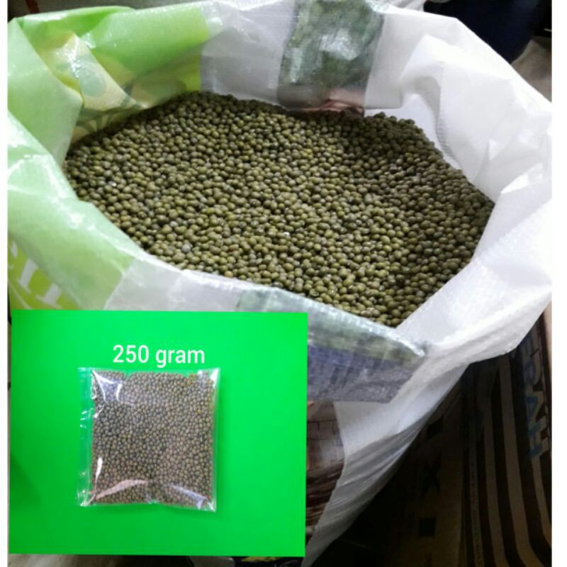 

Kacang Hijau Australia ( kacang ijo) 250 gram