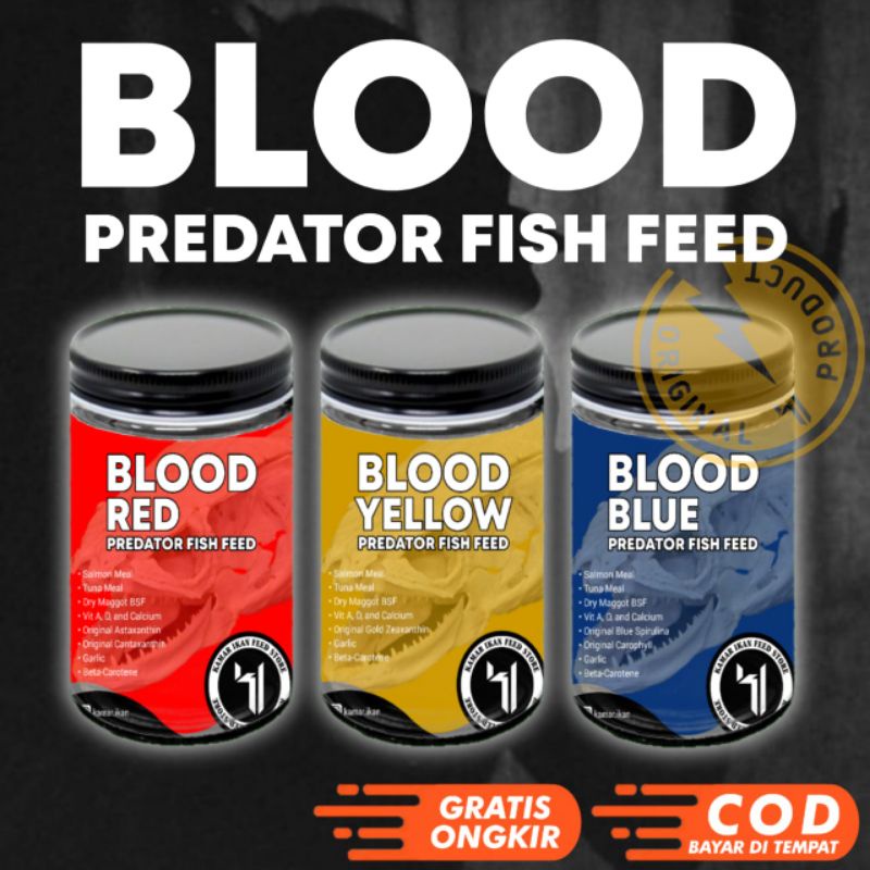 BLOOD RED YELLOW BLUE SETAN