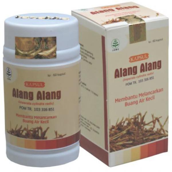 

HERBAL ALANG ALANG MELANCARKAN BUANG AIR KECIL