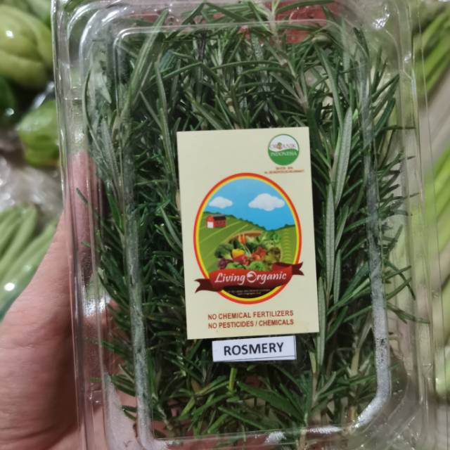 

ORGANIK Fresh Rosemary Organik Segar || 40-50gram || Rosemary Organic segar Italian Herb Veggies
