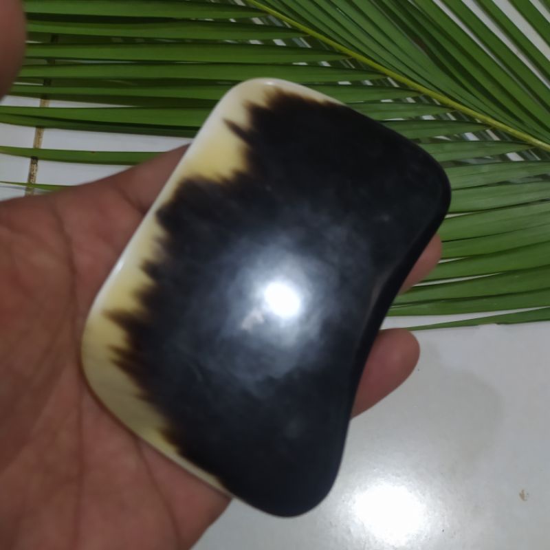 alat pijat tanduk guasa kerokan papan tanduk