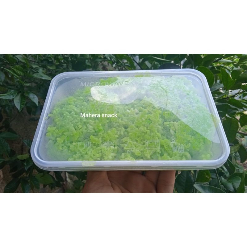 

tape ketan wadah thinwall 500g(free packing burblewarb tanpa syarat)
