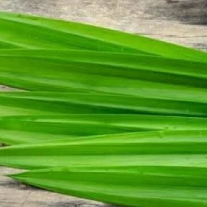 

daun pandan