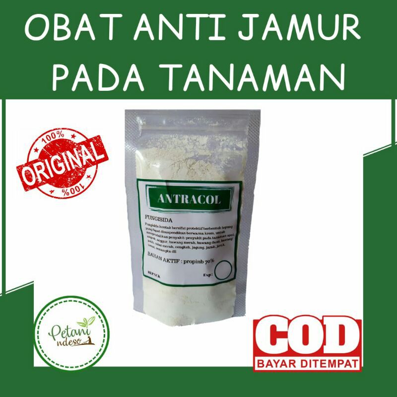 Fungisida Antracol Obat Anti Jamur Tanaman Hias Bunga Buah Sayuran Cabe Bawang Aglonema Kelengkeng