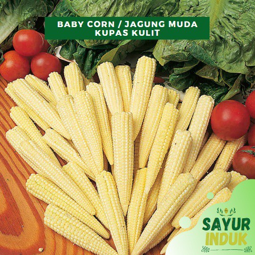 

Sayur Induk - Baby Corn Kupas Kulit 250 Gram Jagung Muda Fresh Grade A