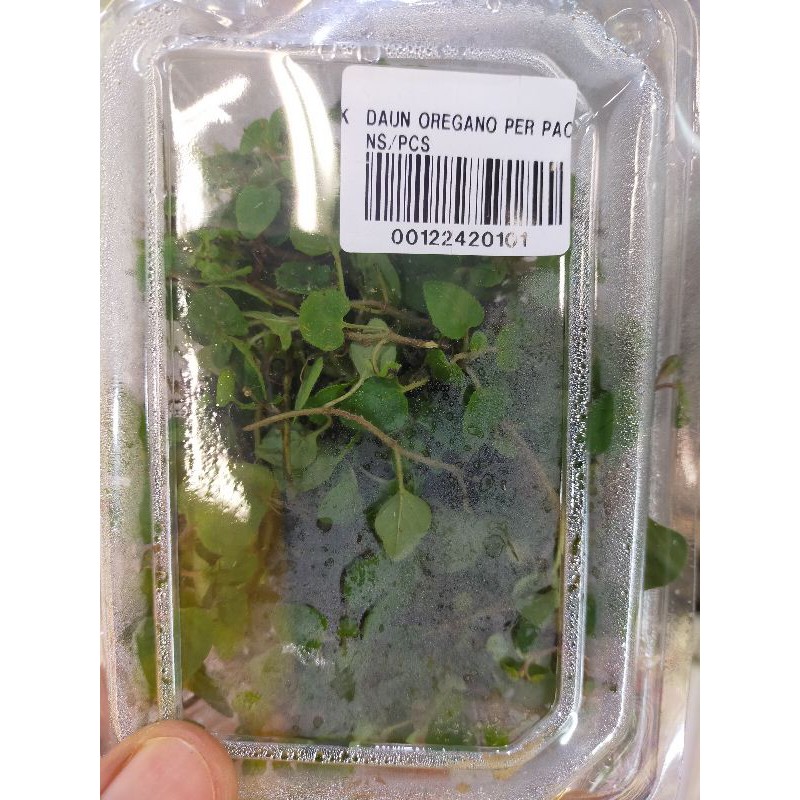 

oregano fresh per pack