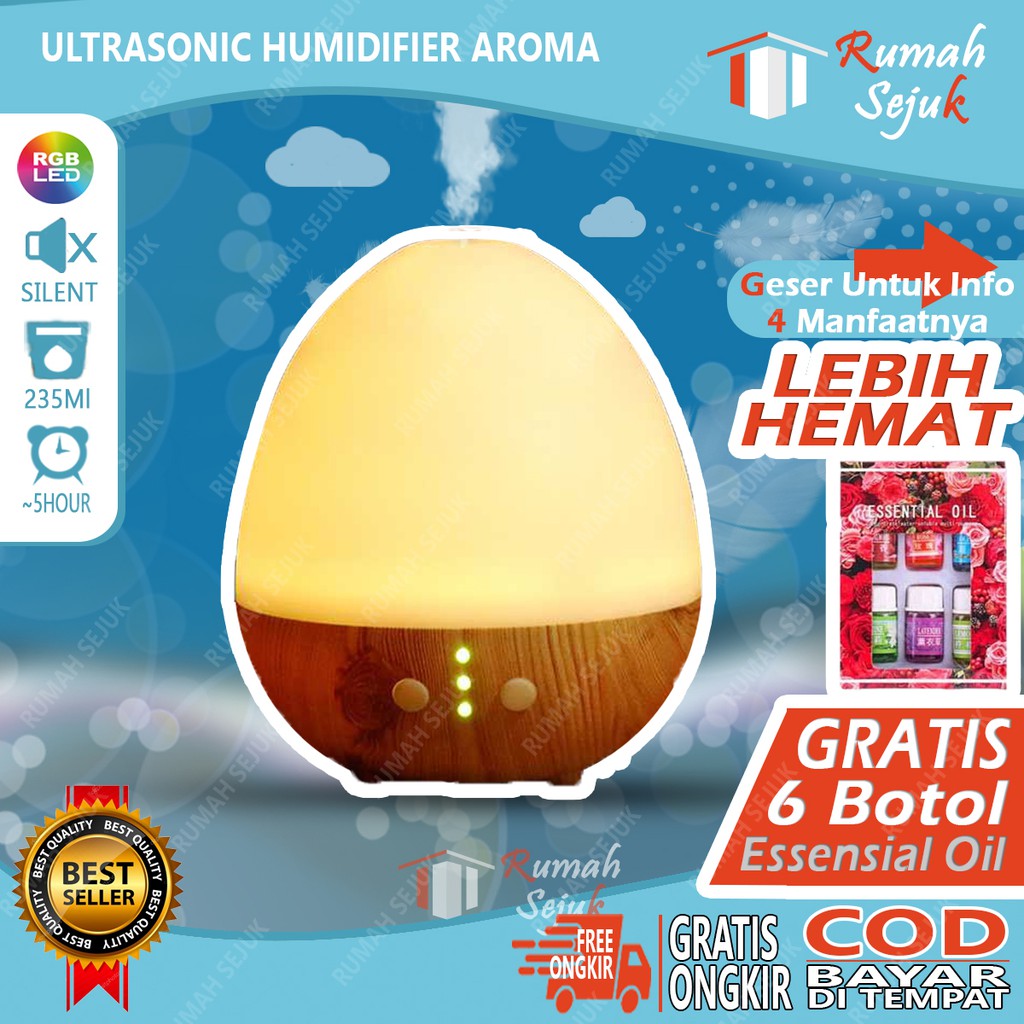 RS - Air Humidifier Diffuser Aromaterapi Alat Pengharum Ruangan Difuser Disfuser Unik Lucu RS-H19 Hu