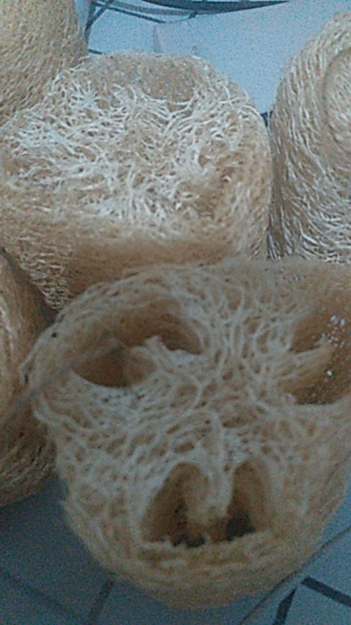 Loofah Puff Mandi Alami Premium Quality + Tali Medium Size