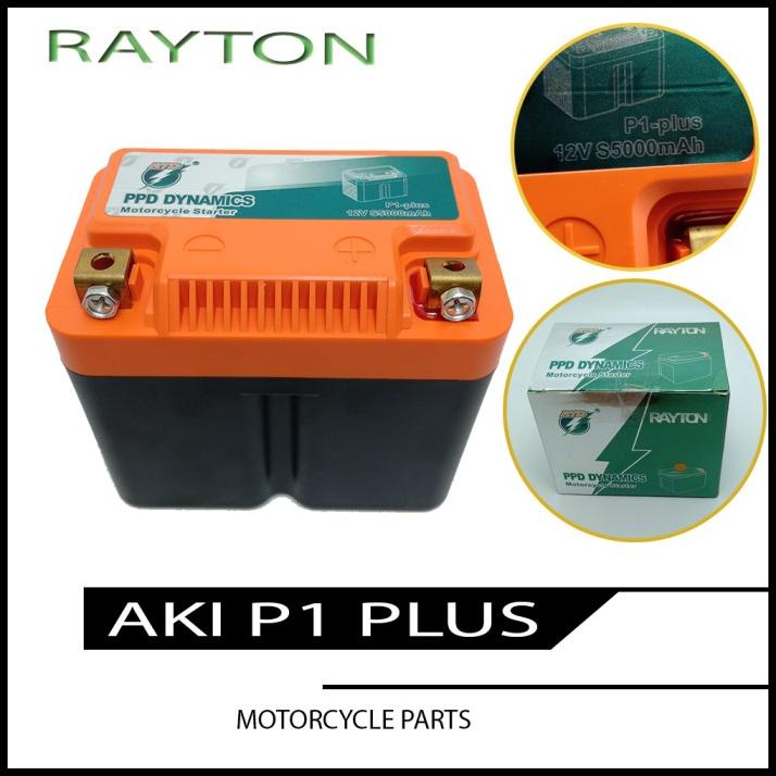 Rayton Aki Baterai Lithium Iron Phospate Lifepo4 Recharge Premium Aki