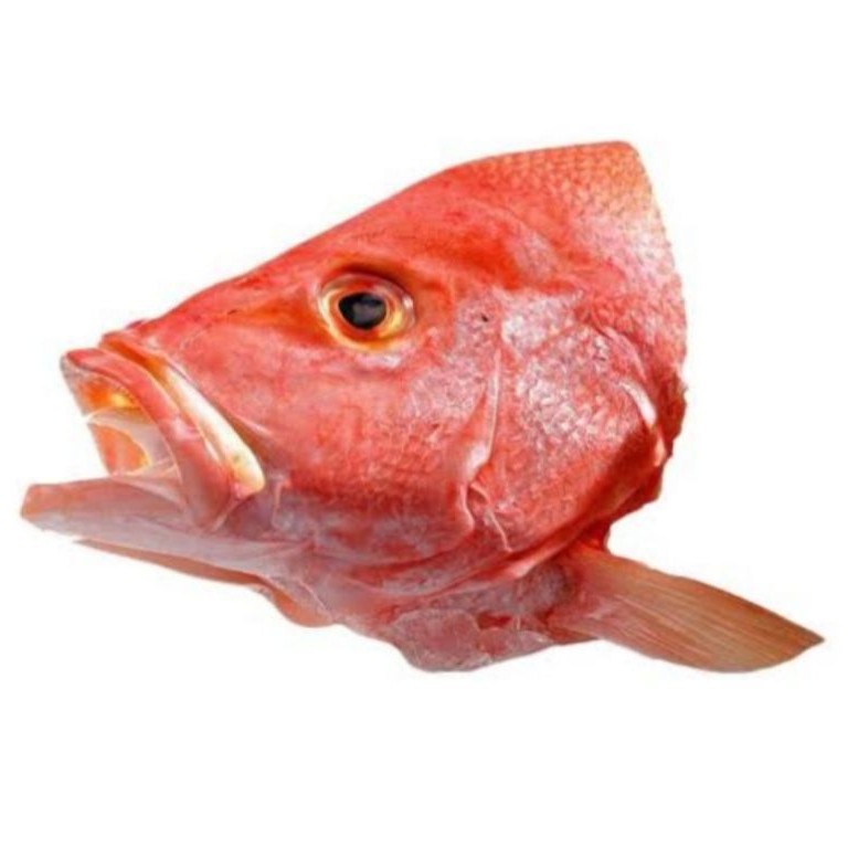 

Kepala Kakap Merah/Putih Fresh (E.1)