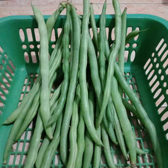 

Buncis 250 gram sayur bandung