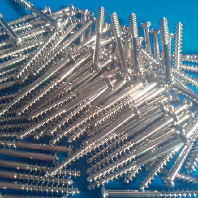 SCREW Platina Tulang