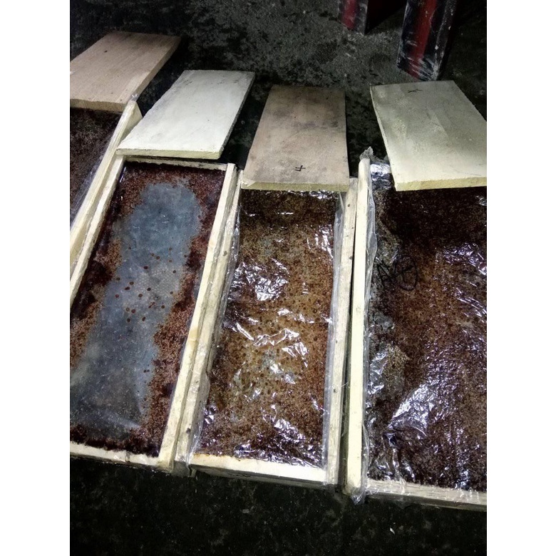 Klanceng Biroi Berjenis Biroi Lebah Beekeeping Koloni Lebah Bibit Lebah