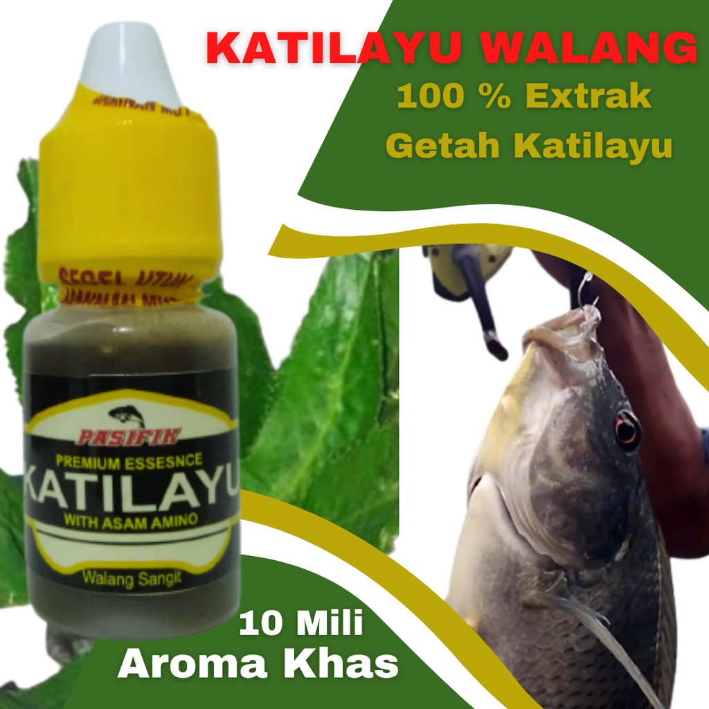 Essen Nila Mujaer Media Lumut Untuk Semua Spot Mancing Essen Katilayu Walangsangit