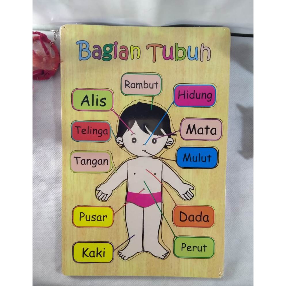 PUZZLE KAYU / MAINAN EDUKASI / PUZZLE GAMBAR BAGIAN TUBUH BAHAN KAYU. Riens Collections