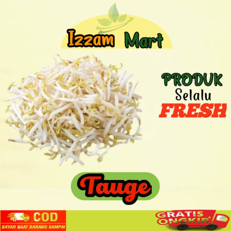 

sayuran toge segar fresh sayuran online