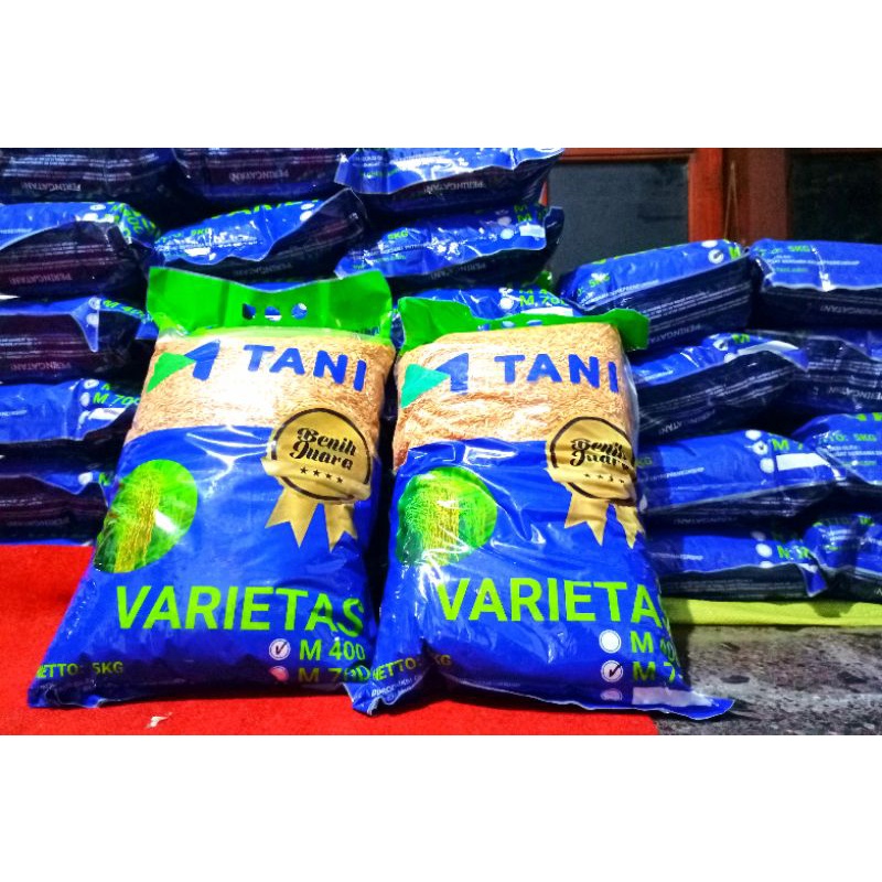 Benih padi MTANI 70D Umur pendek