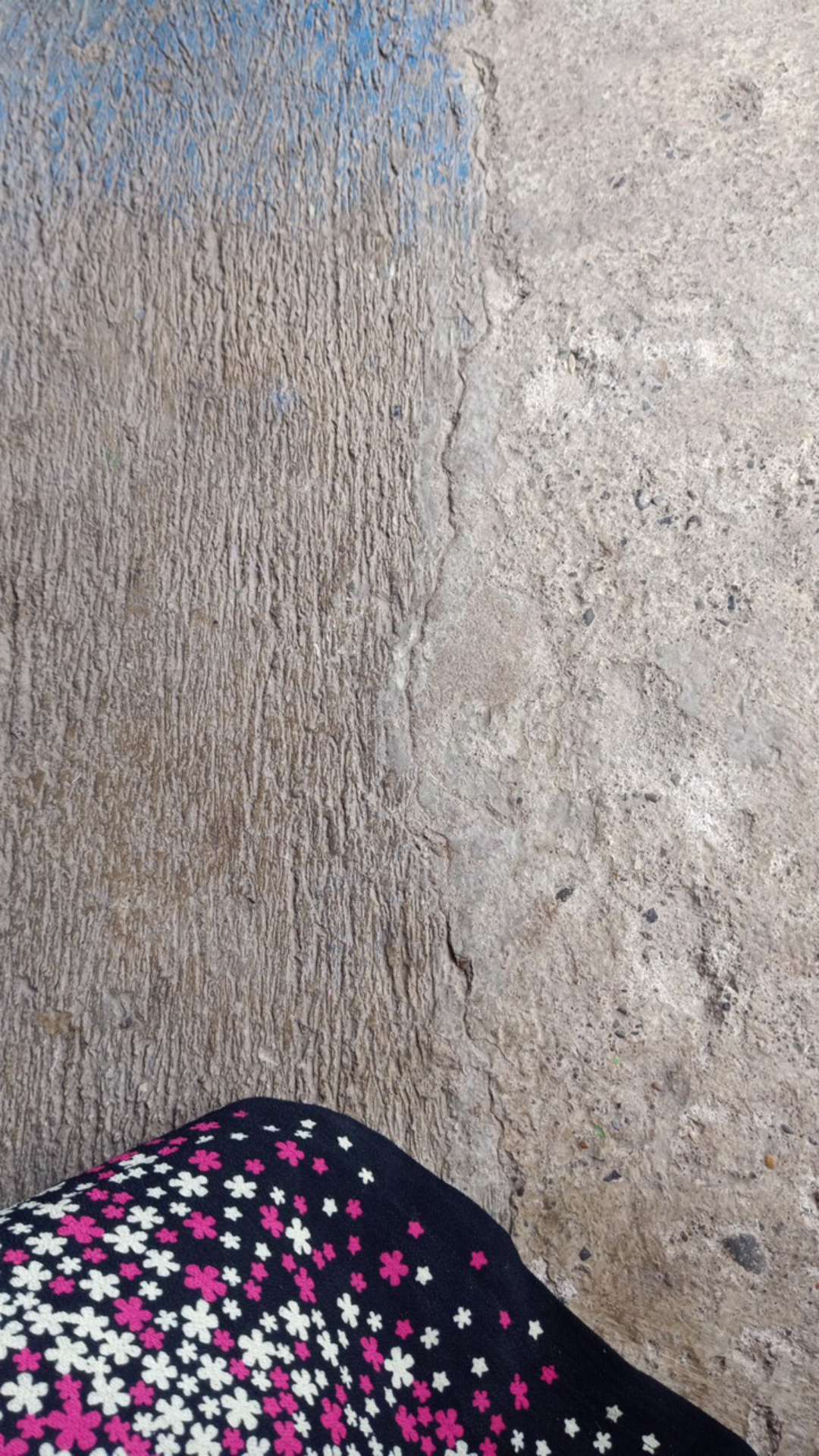 Racun Tikus Paling Ampuh Tidak Meninggalkan Bau Penjebak Jebakan Ampuh Membasmi Tikus Langsung Mati