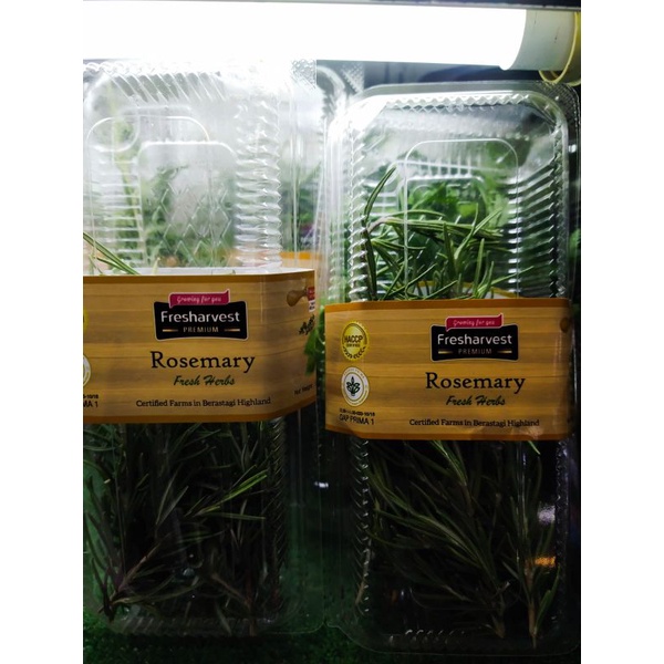 

Daun herbal oregano 15gr